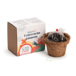 Mini fioriera peperoncino jalapeno Vagamondi